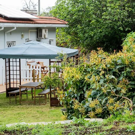 Estudio Rural - Nature & Relax La Orotava Buitenkant foto